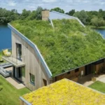 Eco-Friendly Home Solutions to Enhance Comfort and Efficiency