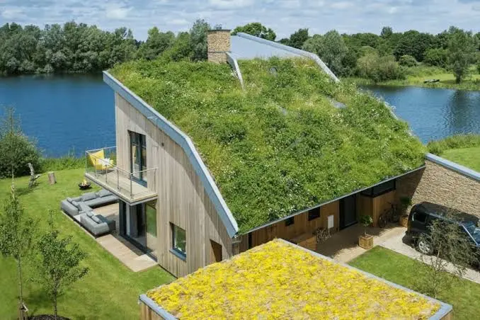 Eco-Friendly Home Solutions to Enhance Comfort and Efficiency
