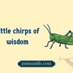 Insect Puns