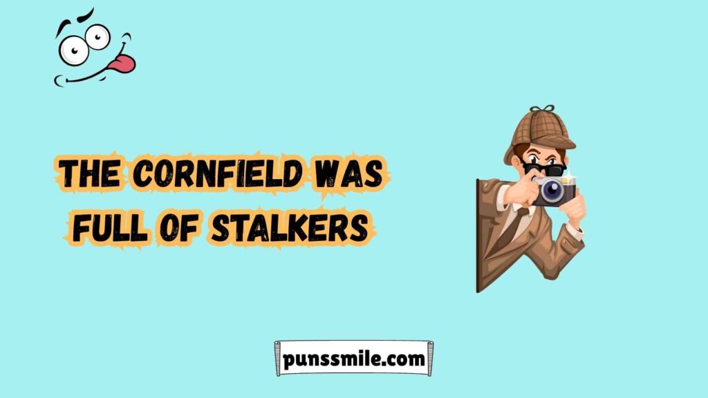 Bad Puns: So Corny, Youâll Be Popping!