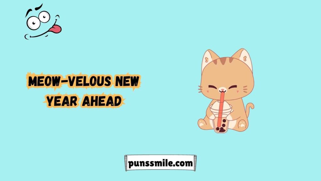 Cat Puns for Every Occasion