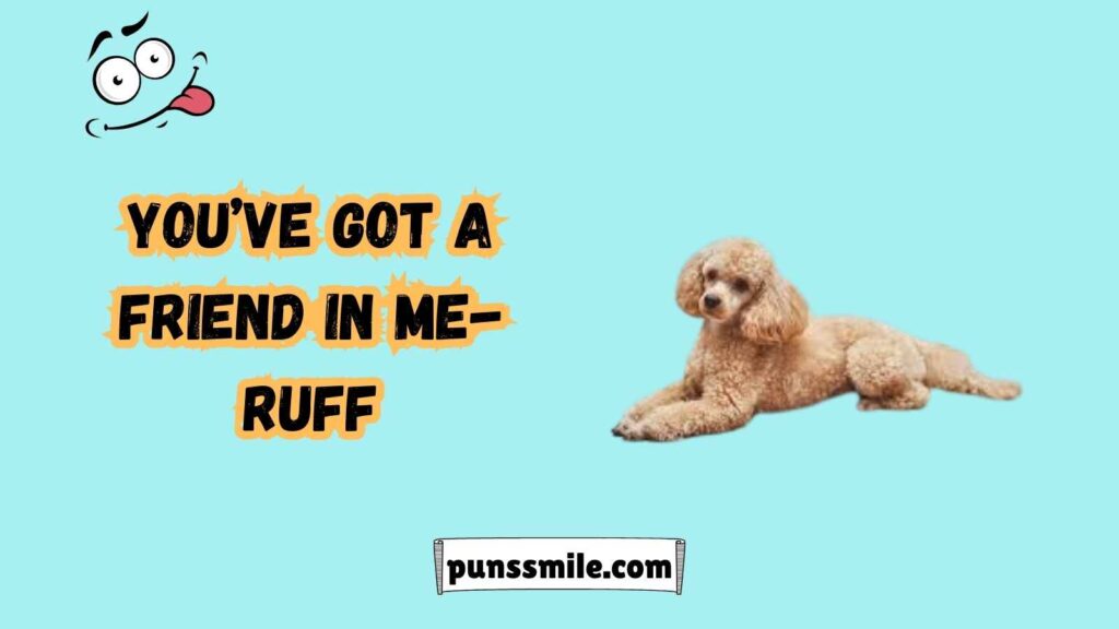 Classic Poodle Puns That Never Get Old