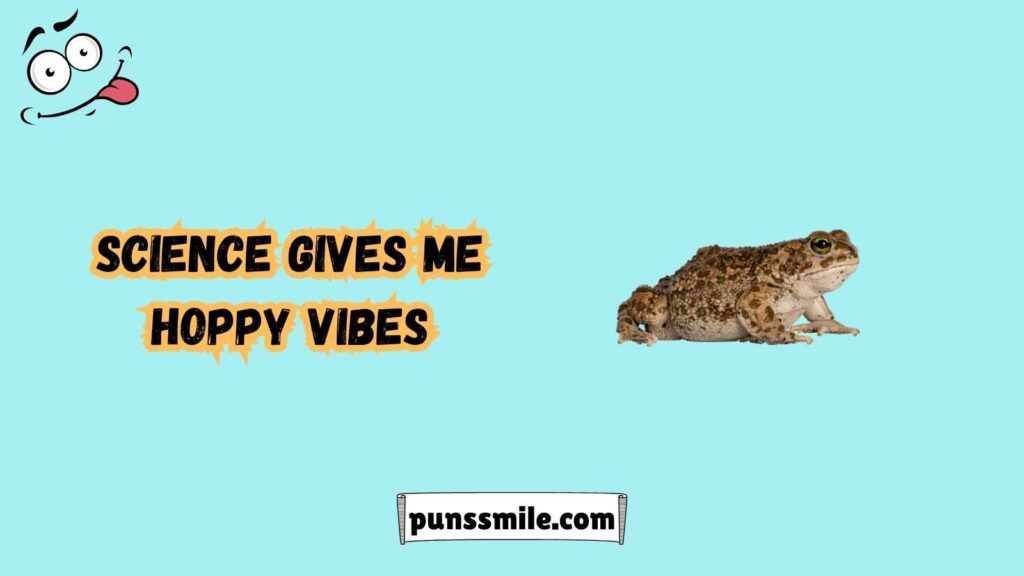  Educational Toad Puns