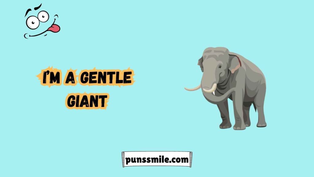 Elephant Puns That Are Unforgettable