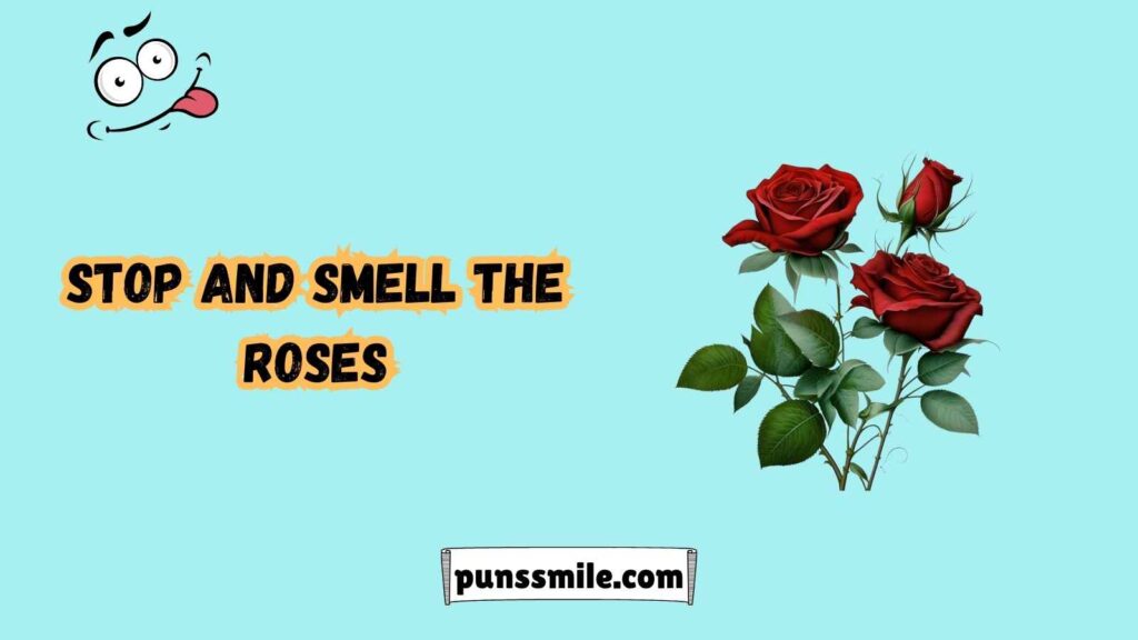 Garden Puns That Will Leaf You Laughing