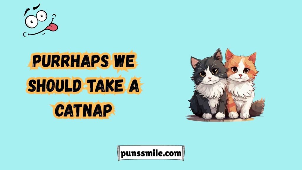  Kitty Puns & Jokes