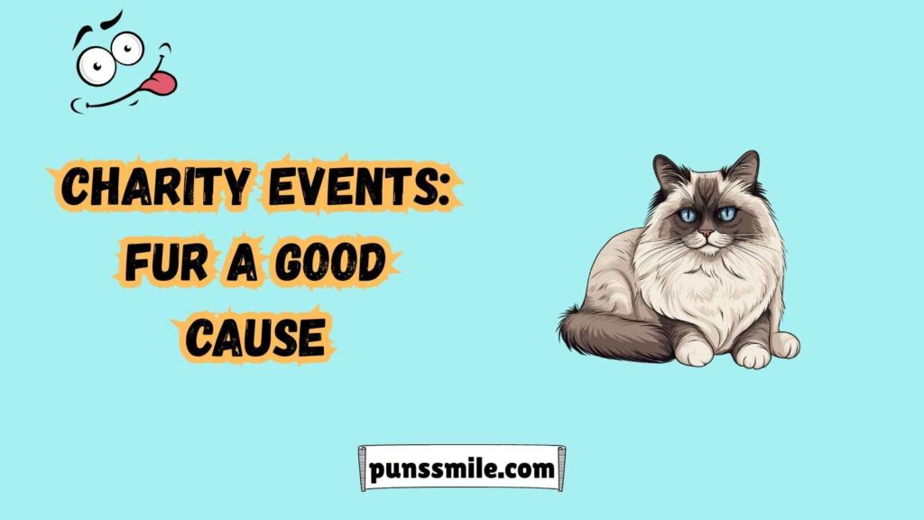 Occasions to Use Kitty Puns