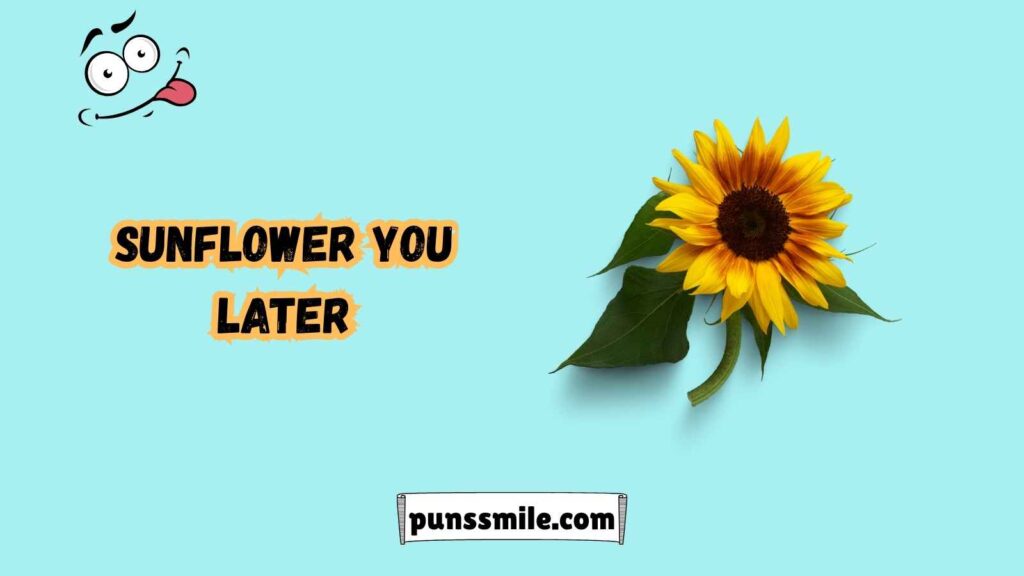 Puns That Bring Flowers and Smiles