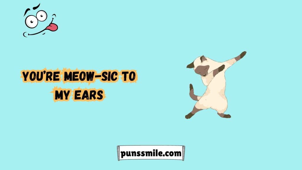  Purrfect Cat Puns for Cat Lovers
