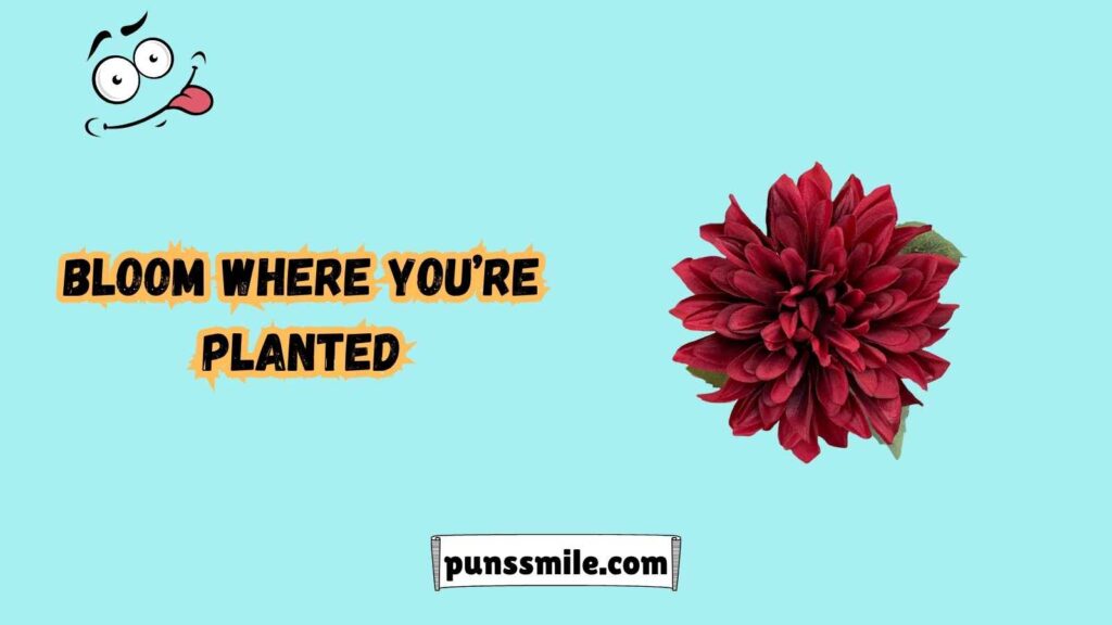 Spring Puns That Will Put a Spring in Your Step
