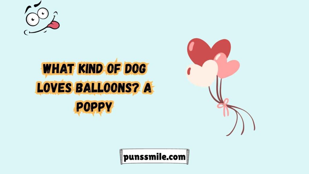 Top Balloon Puns for Kids