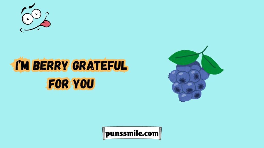 Understanding Blueberry Pun