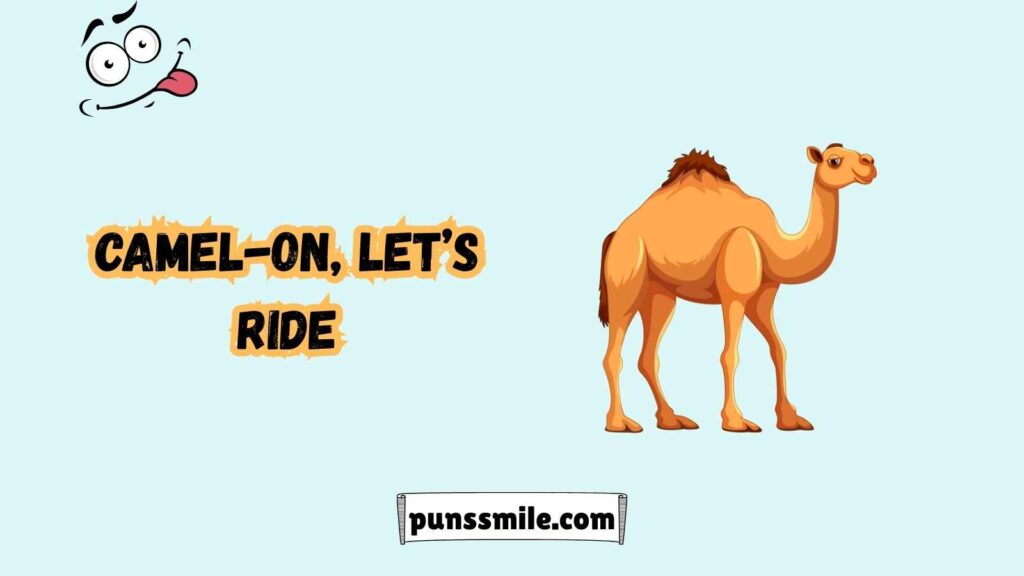 Camels, Dunes, and Funny Tunes