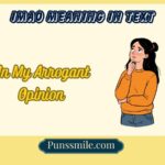 imao meaning in text