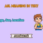 asl meaning in text