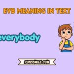 EVB meaning in text