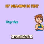 hy meaning in text