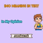 imo meaning in text