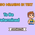 iso meaning in text