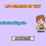 lfg meaning in text