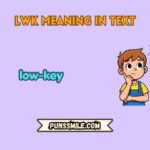 lwk meaning in text