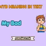 myb meaning in text