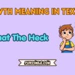 nty meaning in text