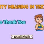 nty meaning in text