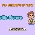 pfp meaning in text