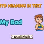 syd meaning in text