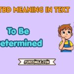 tbd meaning in text