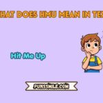 what does hmu mean in text