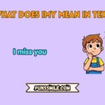 what does imy mean in text