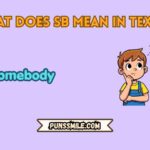 what does sb mean in text
