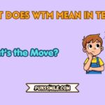 what does wtm mean in text