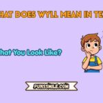 what does wyll mean in text