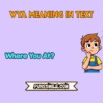 wya meaning in text