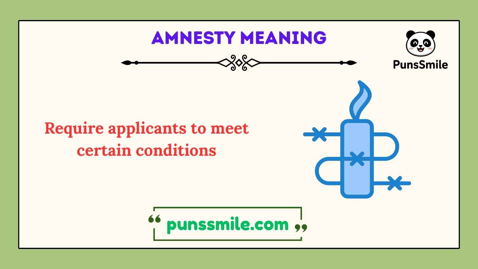 amnesty meaning