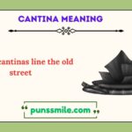 cantina meaning