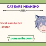 cat ears meaning