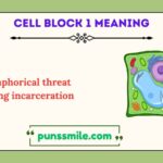 cell block 1 meaning