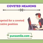 coveted meaning