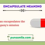 encapsulate meaning