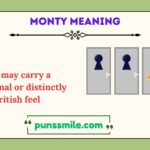 monty meaning