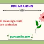 pdu meaning