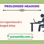 prolonged meaning