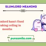 slumlord meaning