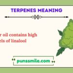 terpenes meaning