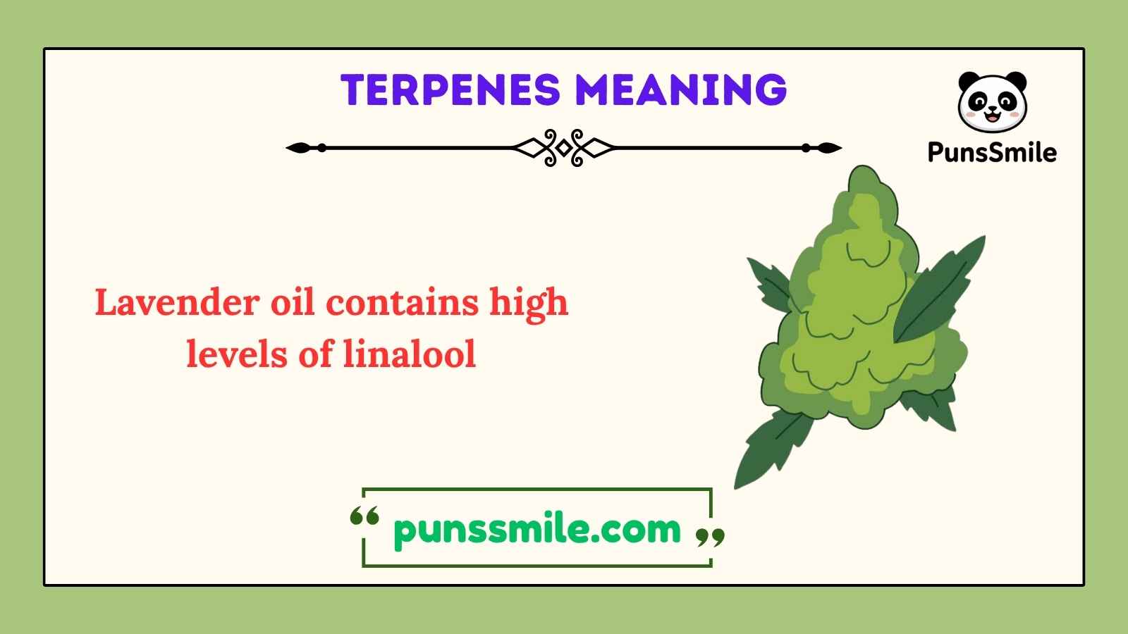 terpenes meaning