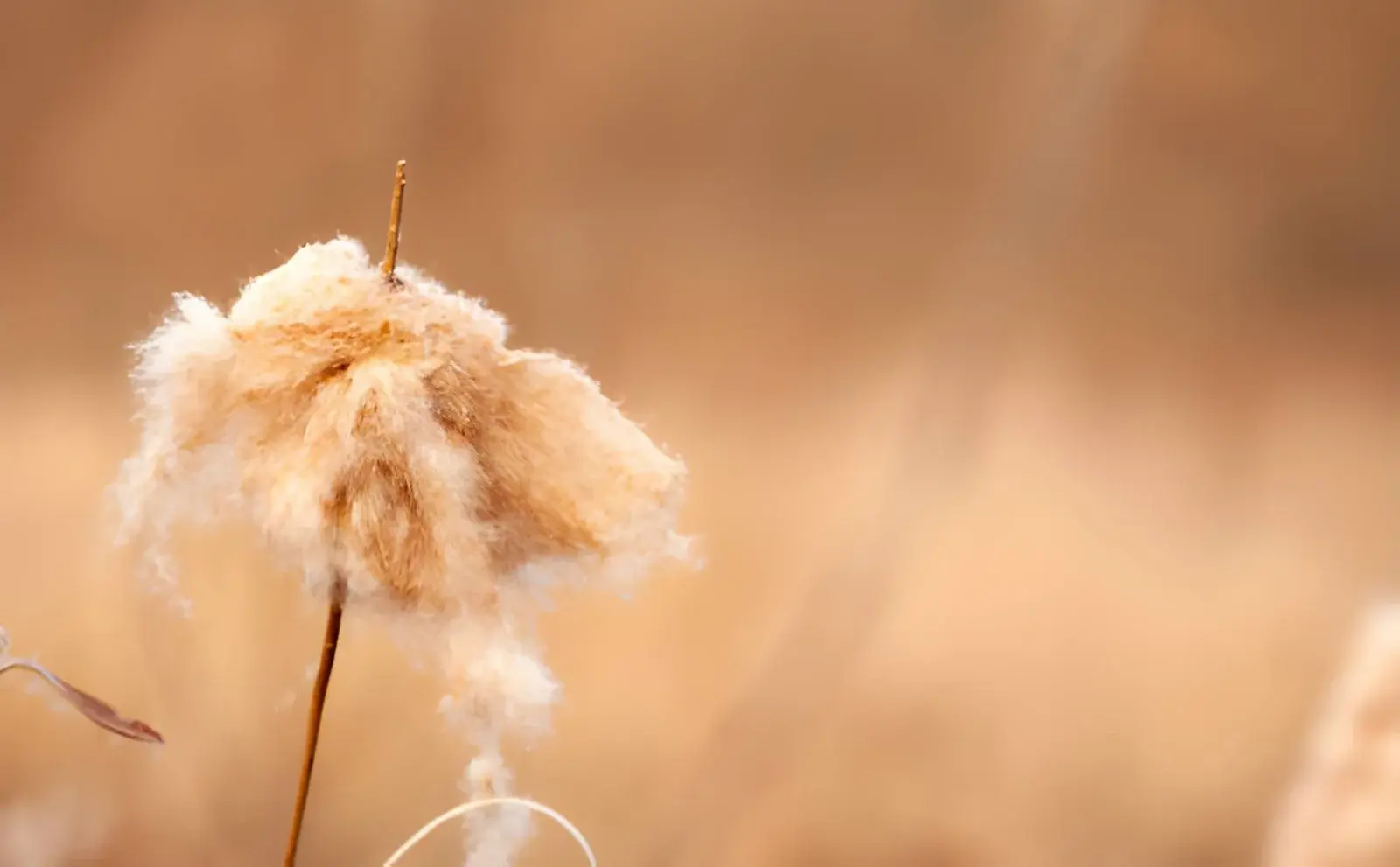 Why Seasonal Rushes Feel Different When Support Can Stretch and Shrink